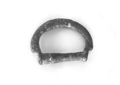fibbia a semicerchio/ anello